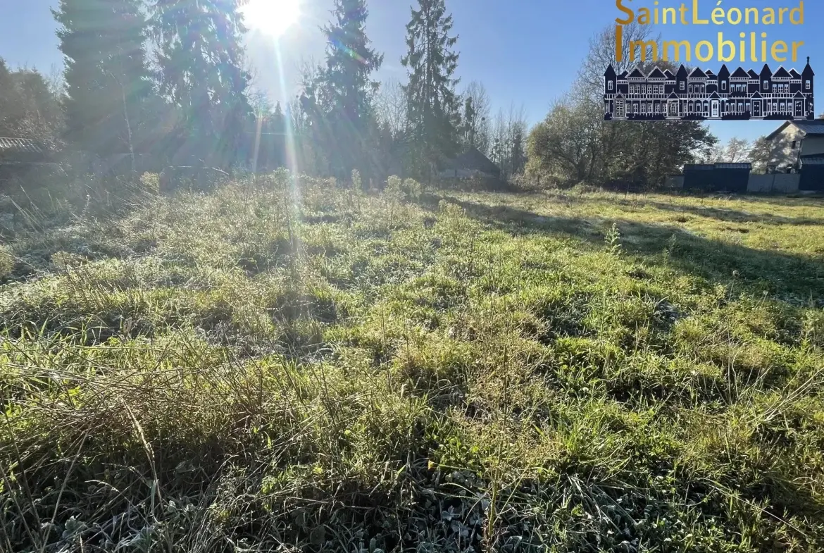 Terrain constructible de 502 m² à Lecousse, environnement paisible 