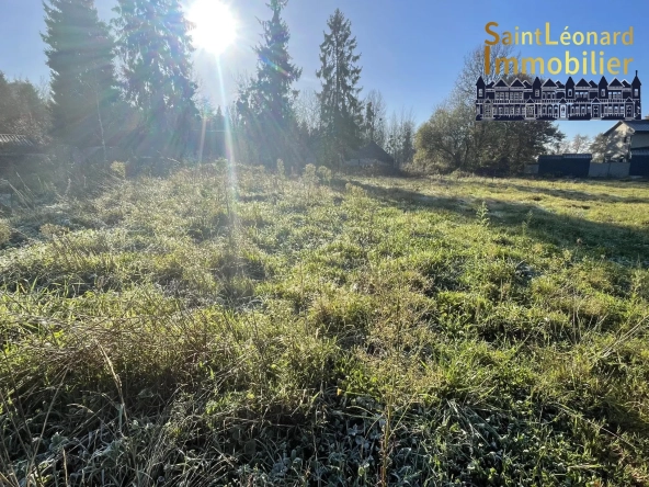 Terrain constructible de 502 m² à Lecousse, environnement paisible