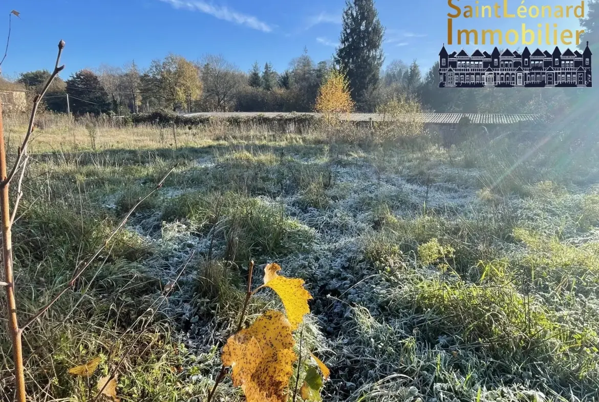 Terrain constructible de 502 m² à Lecousse, environnement paisible 