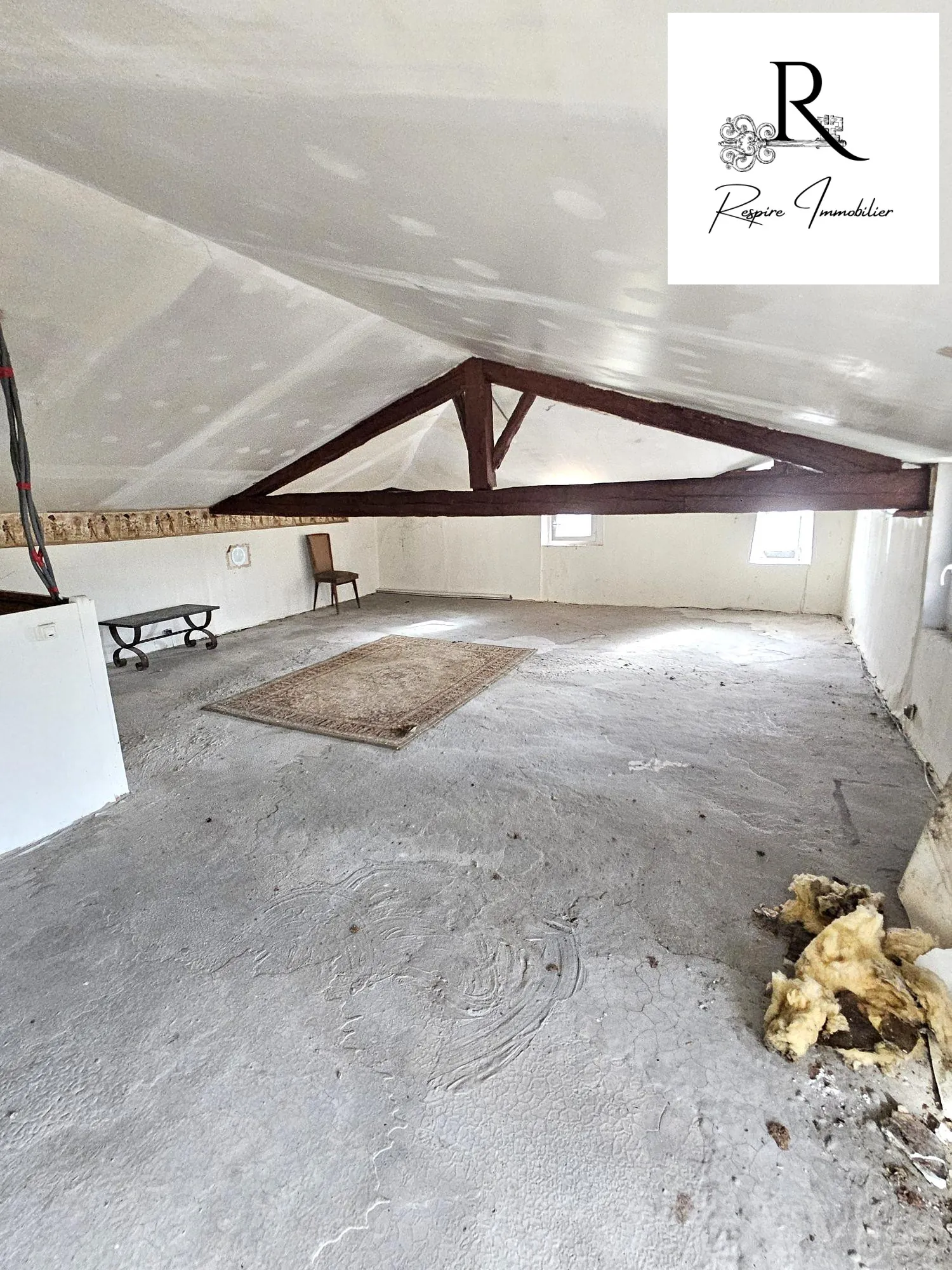 Maison à rénover à Pamiers, charme et potentiel au bord de l'Ariège 