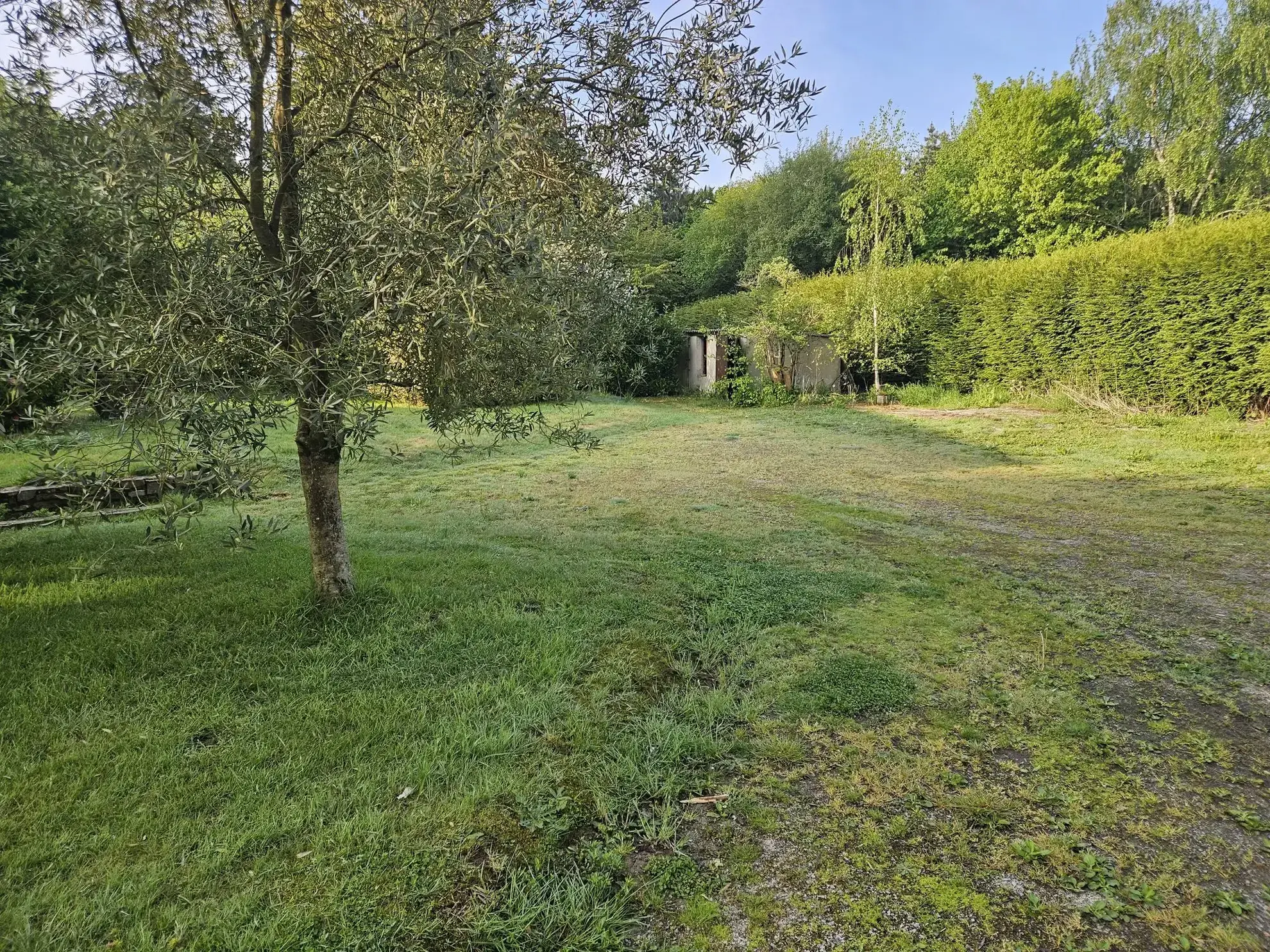 Terrain constructible de 628 m² à Laillé – Viabilisé, plein sud, hors lotissement 
