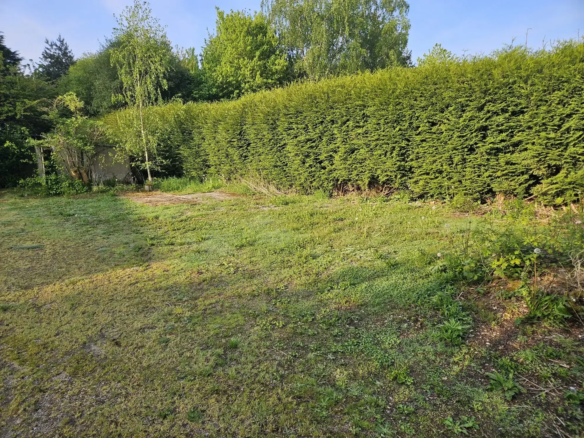 Terrain constructible de 628 m² à Laillé – Viabilisé, plein sud, hors lotissement 