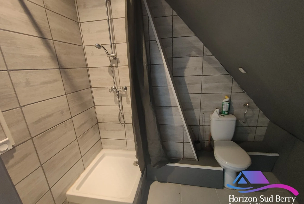 Salle d'eau / WC  Charmante maison de bourg de 95 m² avec cour à Nohant-Vic 