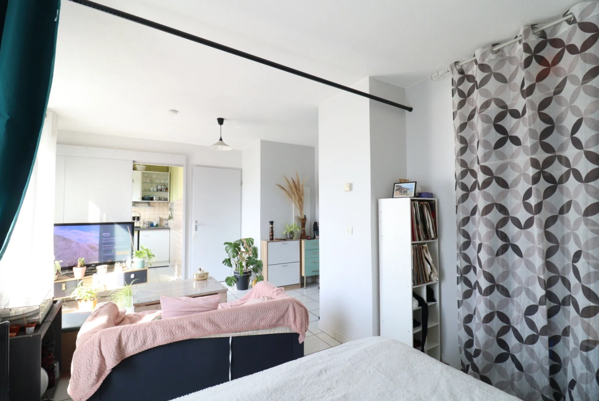 Grand studio lumineux avec balcon et garage à Grenoble 