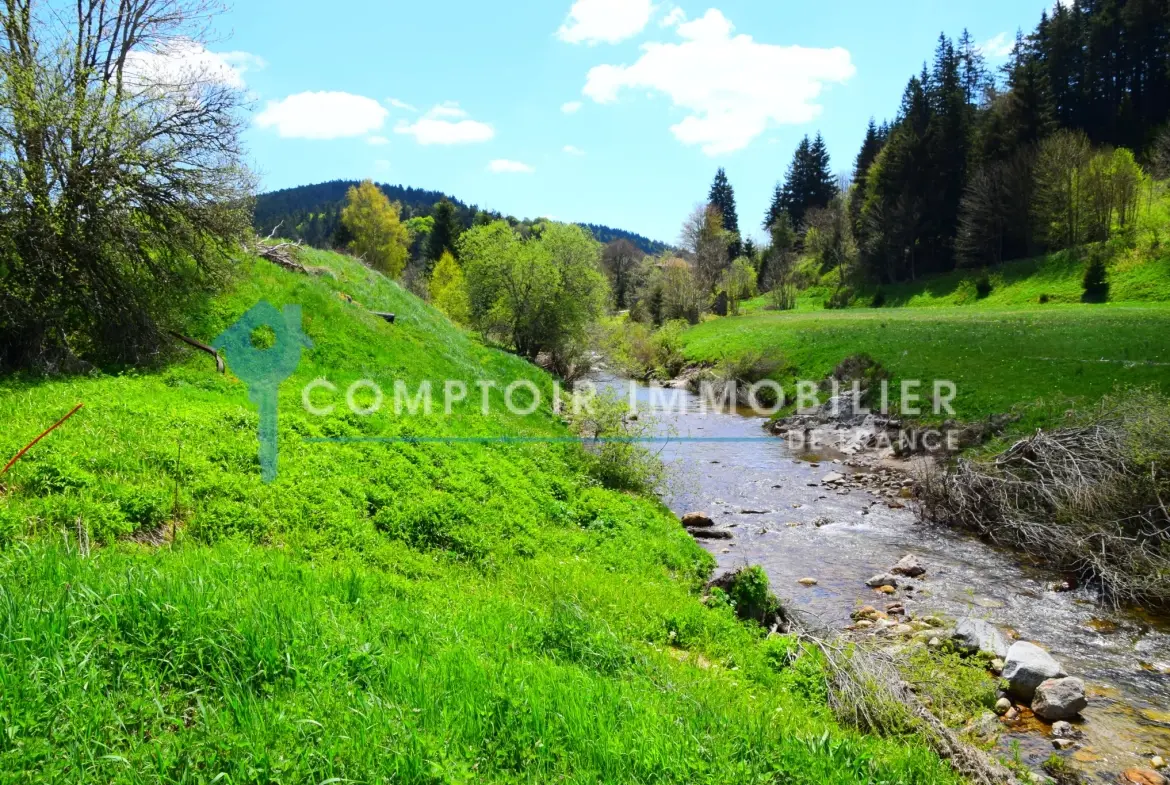 Belle maison de village rénovée en Ardèche avec grand terrain à Lanarce 