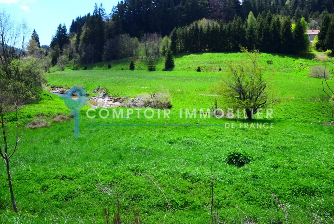 Belle maison de village rénovée en Ardèche avec grand terrain à Lanarce 