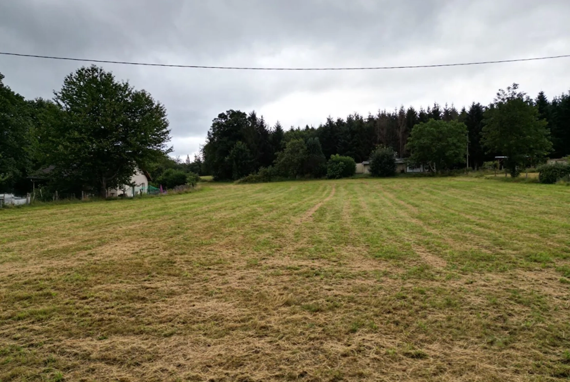 Terrain constructible de 2040 m² à Moyenmoutier, vue forêt et proximité axes routiers 
