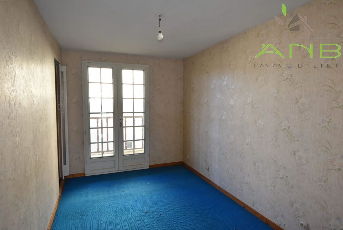 Ensemble immobilier à vendre à Verteuil-sur-Charente – Maison à rénover avec terrain et vue 