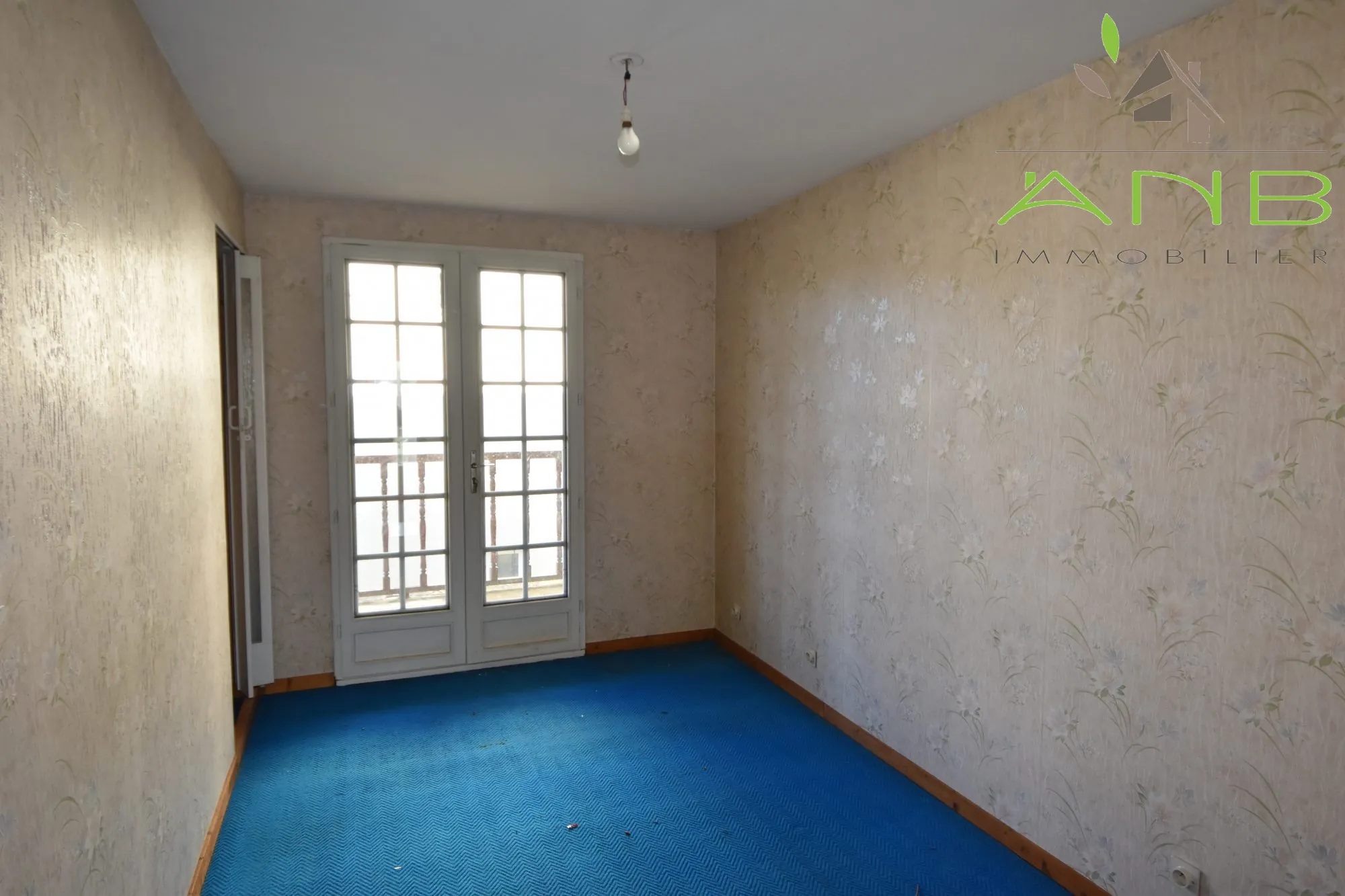 Ensemble immobilier à vendre à Verteuil-sur-Charente – Maison à rénover avec terrain et vue 