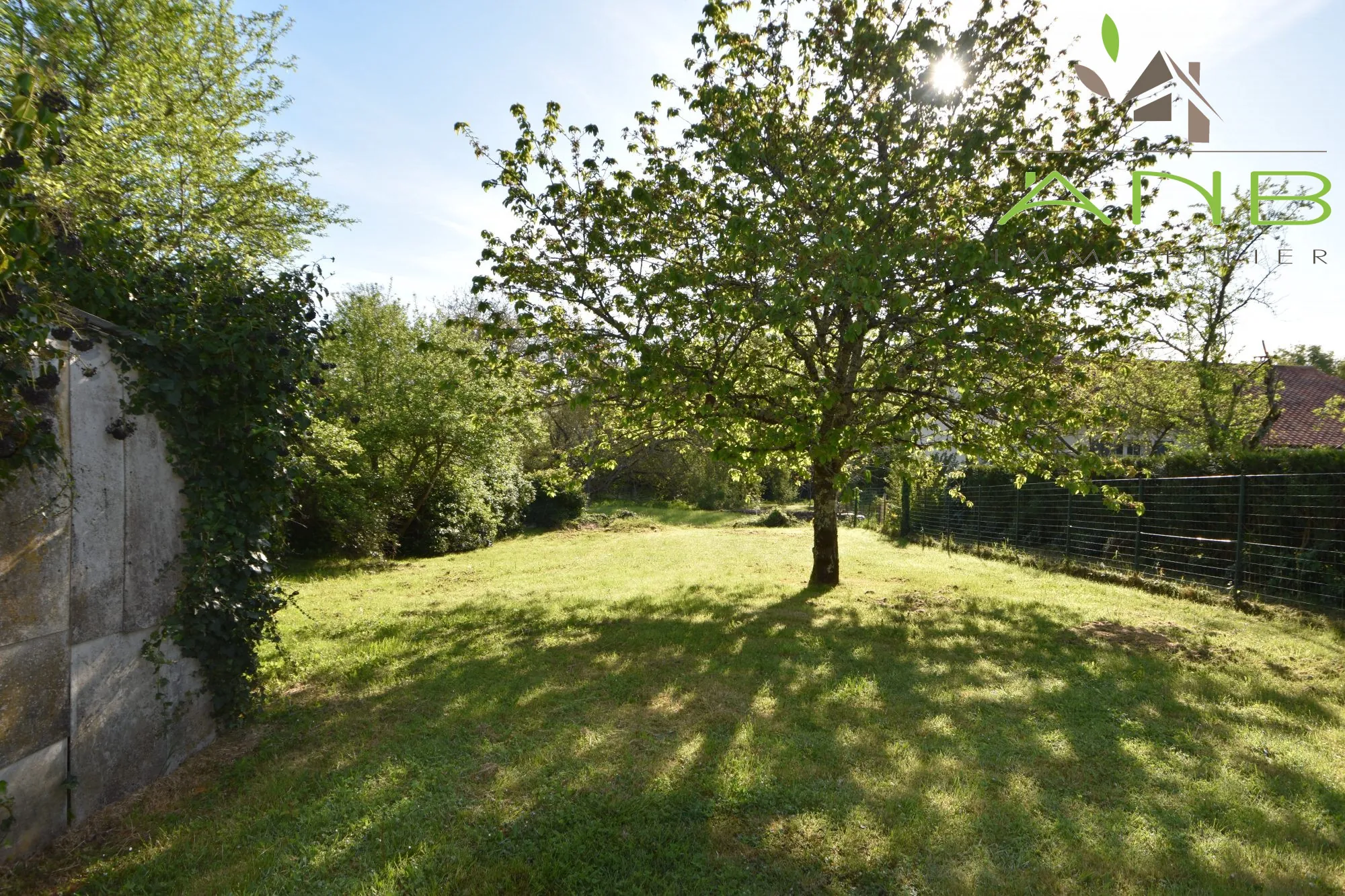 Ensemble immobilier à vendre à Verteuil-sur-Charente – Maison à rénover avec terrain et vue 