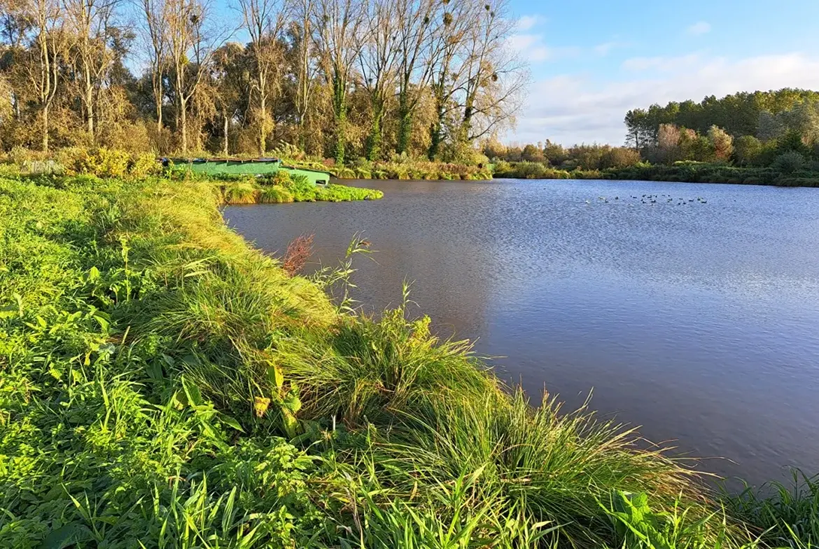 Hutte de chasse à Abbeville avec pièce à rénover et pièce d'eau - Terrain de 12 753 m² 
