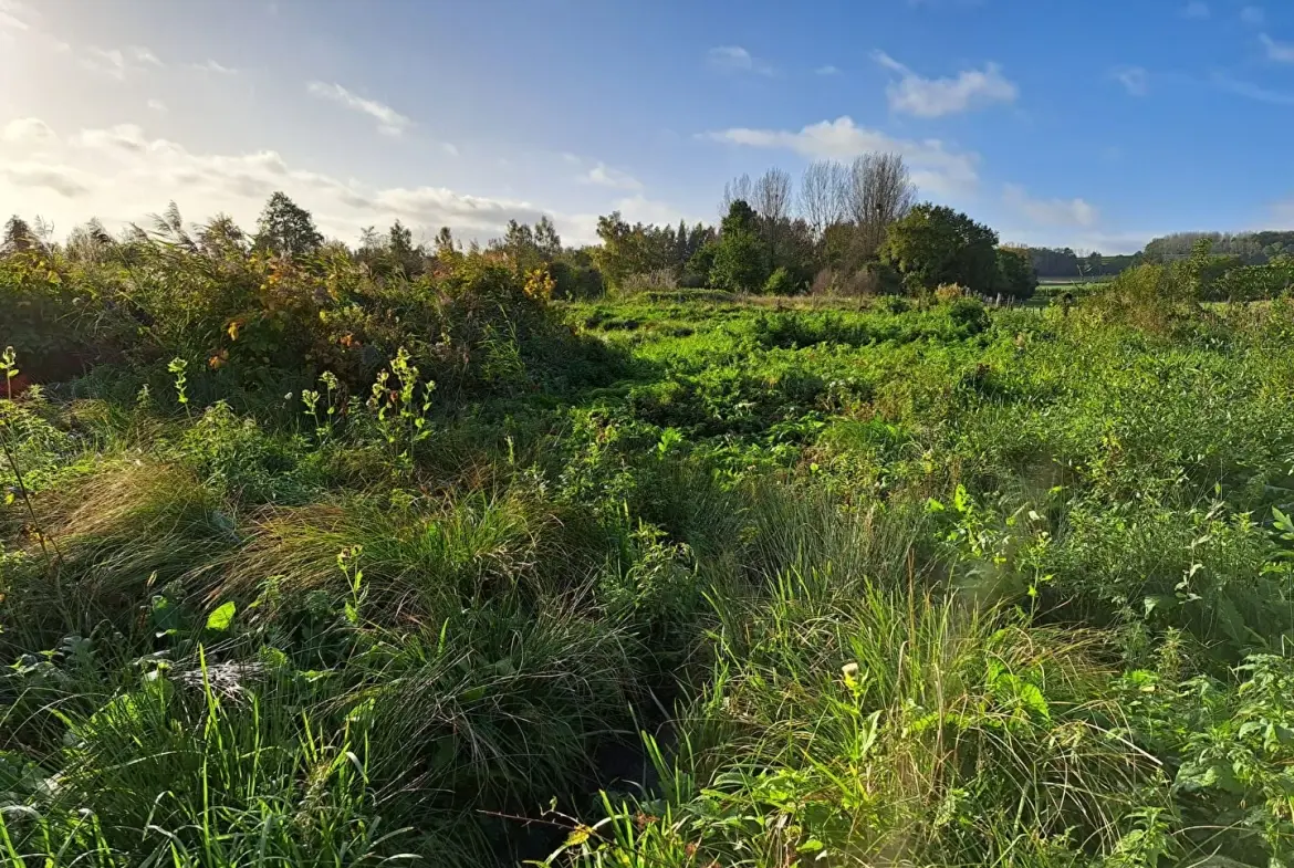 Hutte de chasse à Abbeville avec pièce à rénover et pièce d'eau - Terrain de 12 753 m² 
