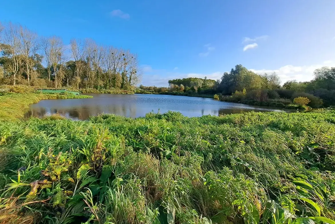 Hutte de chasse à Abbeville avec pièce à rénover et pièce d'eau - Terrain de 12 753 m² 