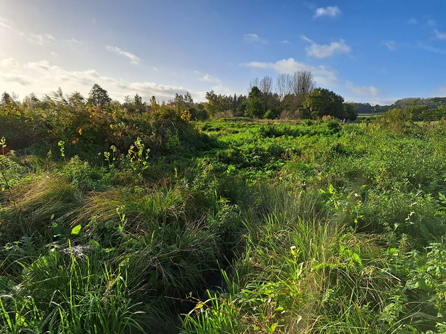 Hutte de chasse à Abbeville avec pièce à rénover et pièce d'eau - Terrain de 12 753 m² 