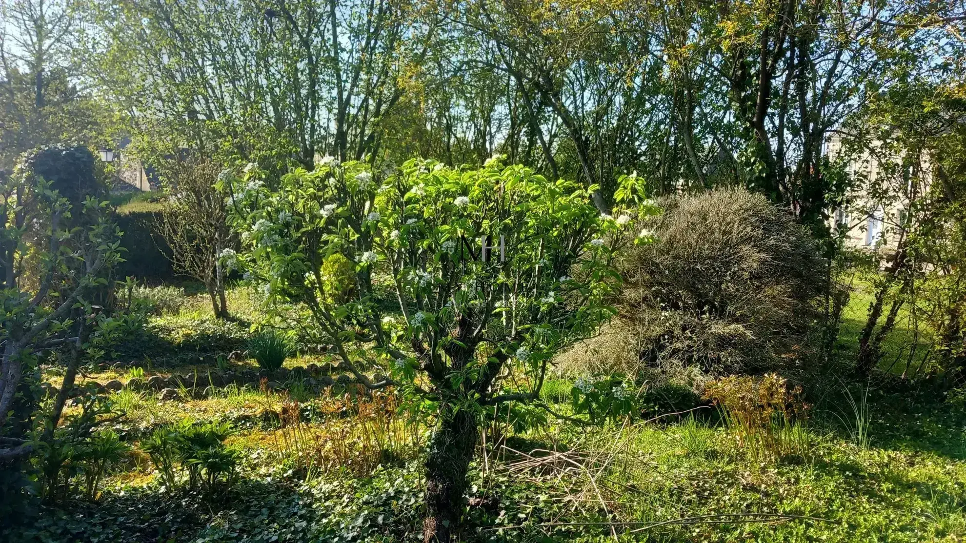 Maison de village à vendre dans le Perche avec jardin et combles aménageables 