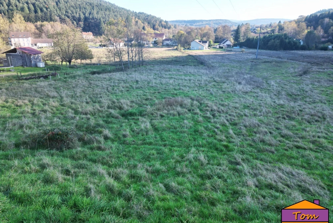 Terrain constructible de 3600 m² à Taintrux avec vue sur les Vosges 