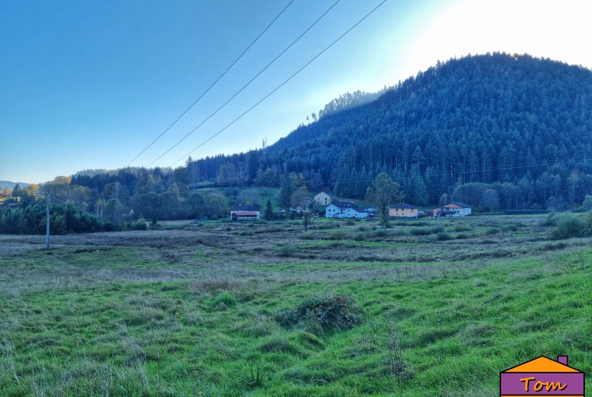 Terrain constructible de 3600 m² à Taintrux avec vue sur les Vosges 