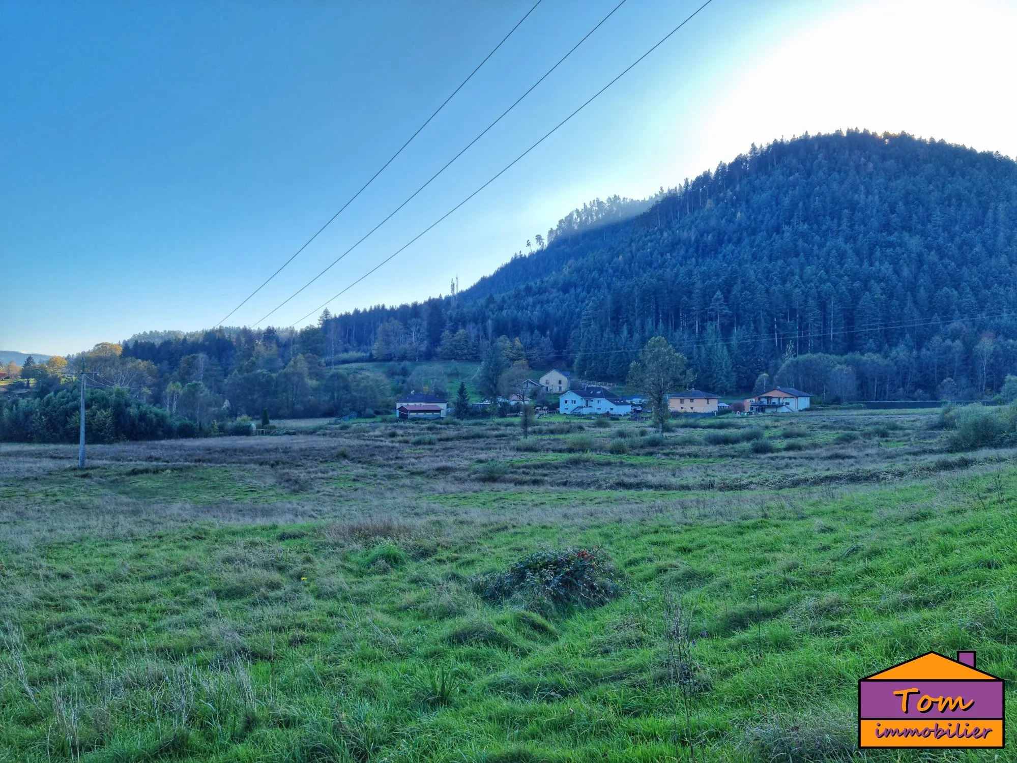 Terrain constructible de 3600 m² à Taintrux avec vue sur les Vosges 