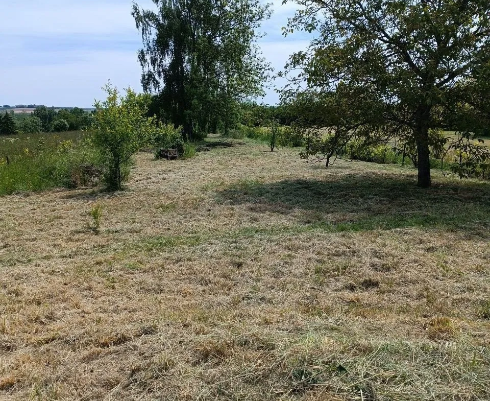 Verger à vendre à Einville-au-Jard - Terrain agricole de 1490m² 