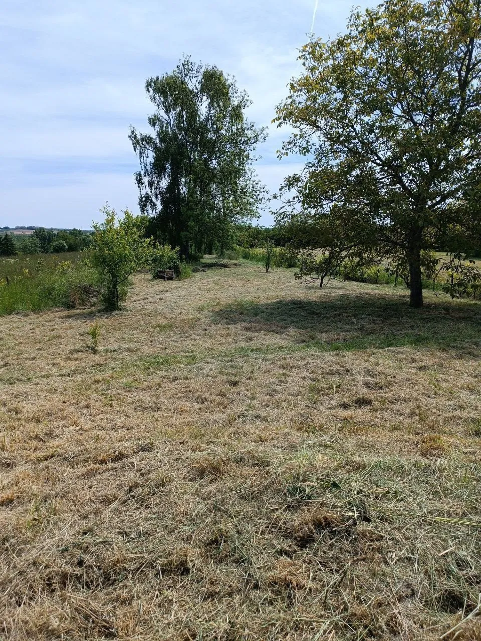 Verger à vendre à Einville-au-Jard - Terrain agricole de 1490m² 