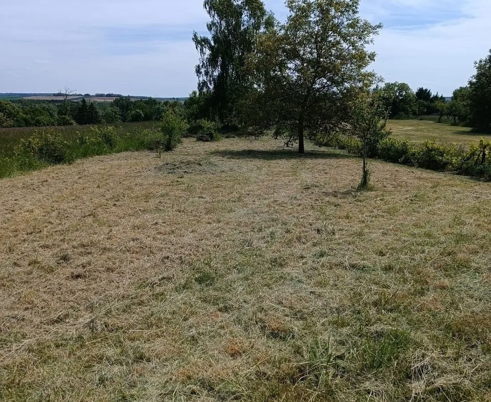 Verger à vendre à Einville-au-Jard - Terrain agricole de 1490m² 