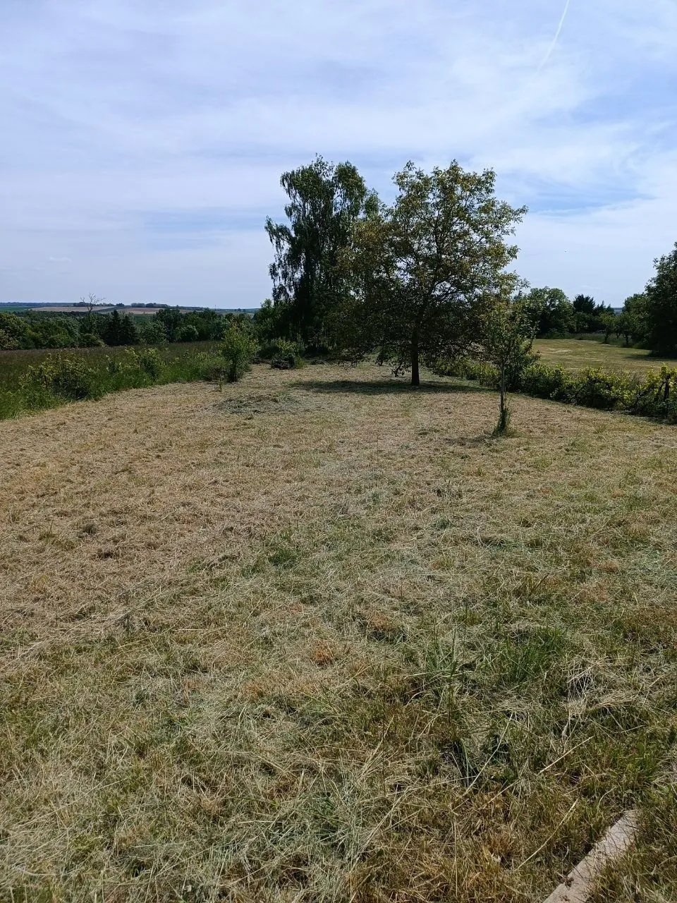 Verger à vendre à Einville-au-Jard - Terrain agricole de 1490m² 
