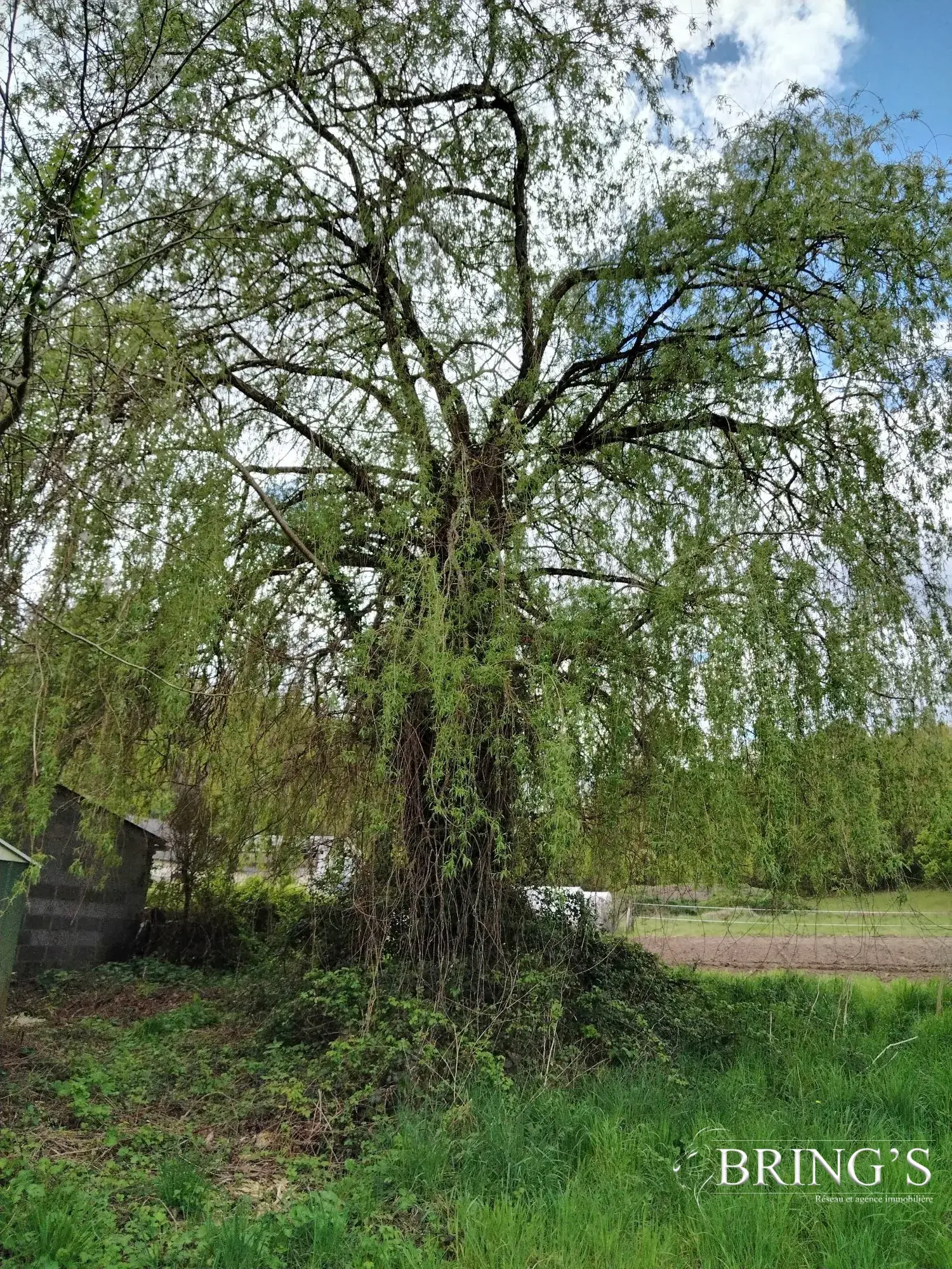 Terrain à bâtir de 885 m² aux Essards, zone protégée ABF, à 13 min de Langeais 