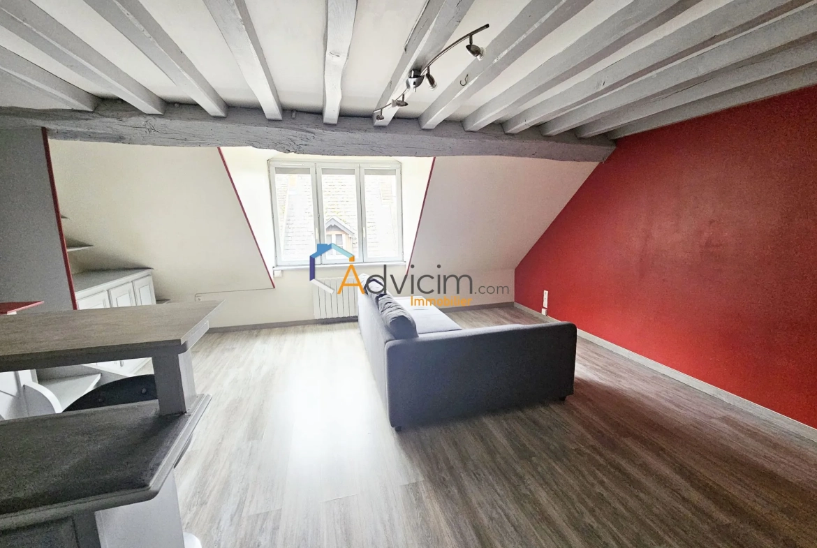 Appartement duplex à vendre à Orléans Saint Marceau – 1 chambre, proche tramway 