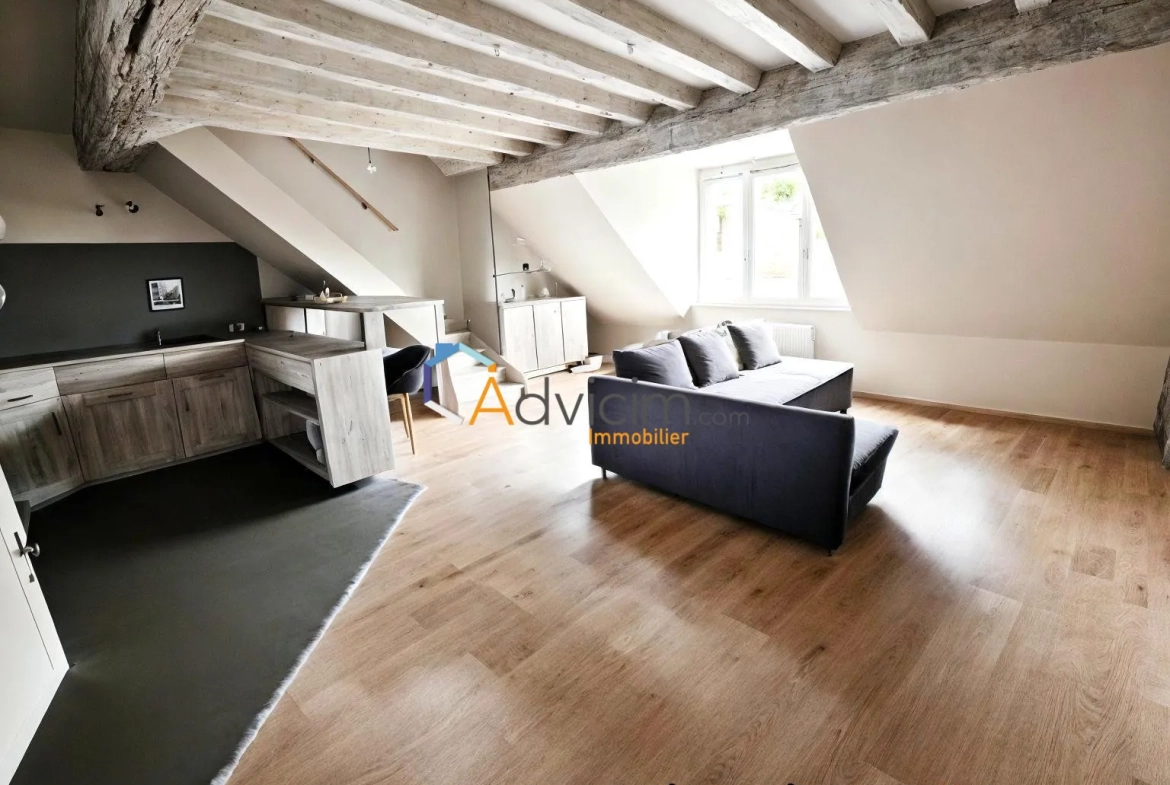 Appartement duplex à vendre à Orléans Saint Marceau – 1 chambre, proche tramway 
