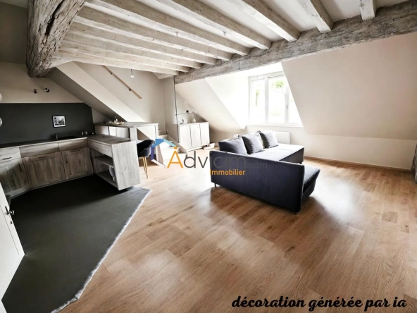 Appartement duplex à vendre à Orléans Saint Marceau – 1 chambre, proche tramway