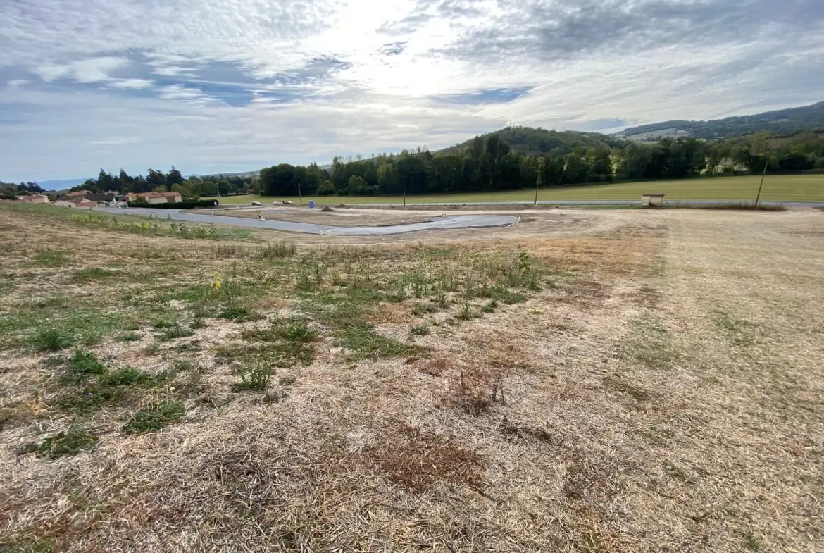 Terrain à bâtir viabilisé de 1392m² à Perrier - Libre constructeur 