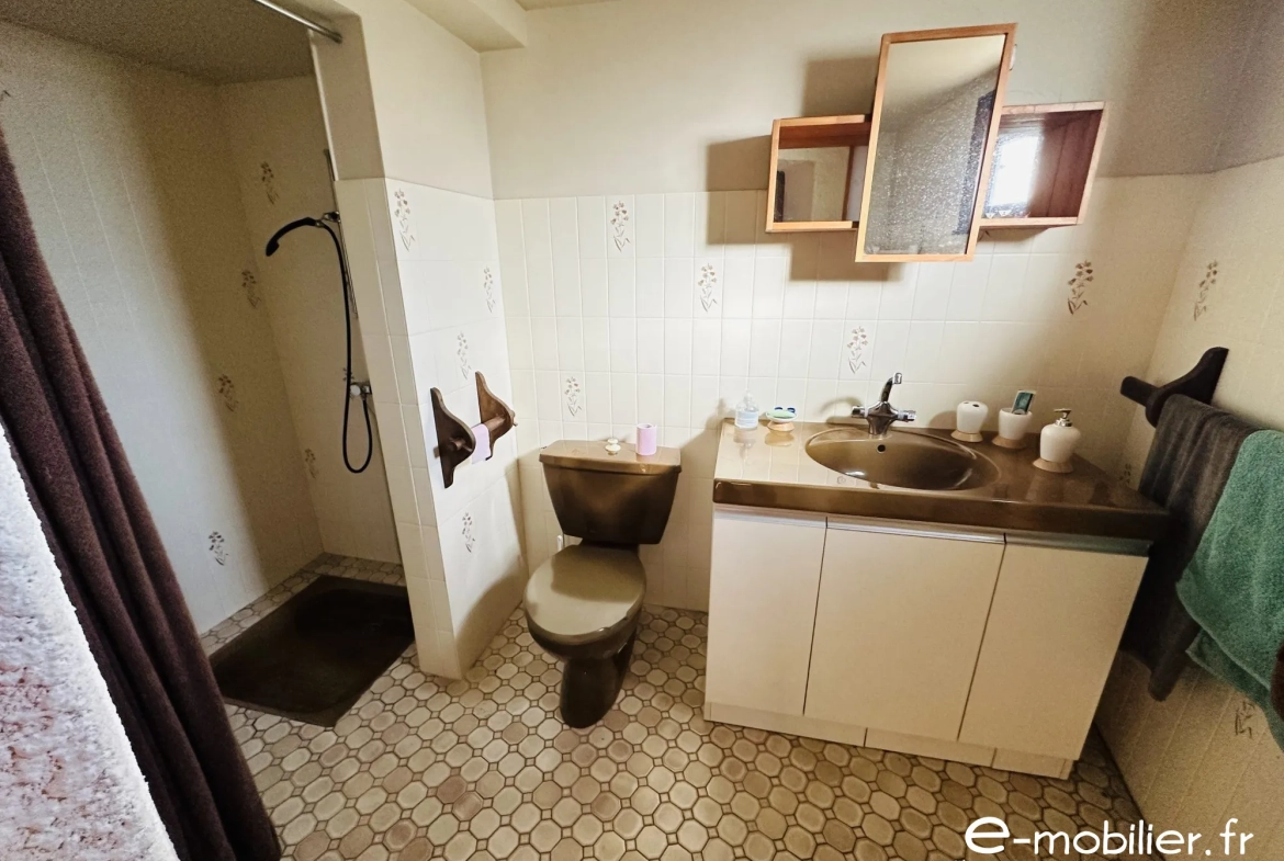 Maison à vendre à Charlieu de 172 m² avec grand terrain et charme authentique 