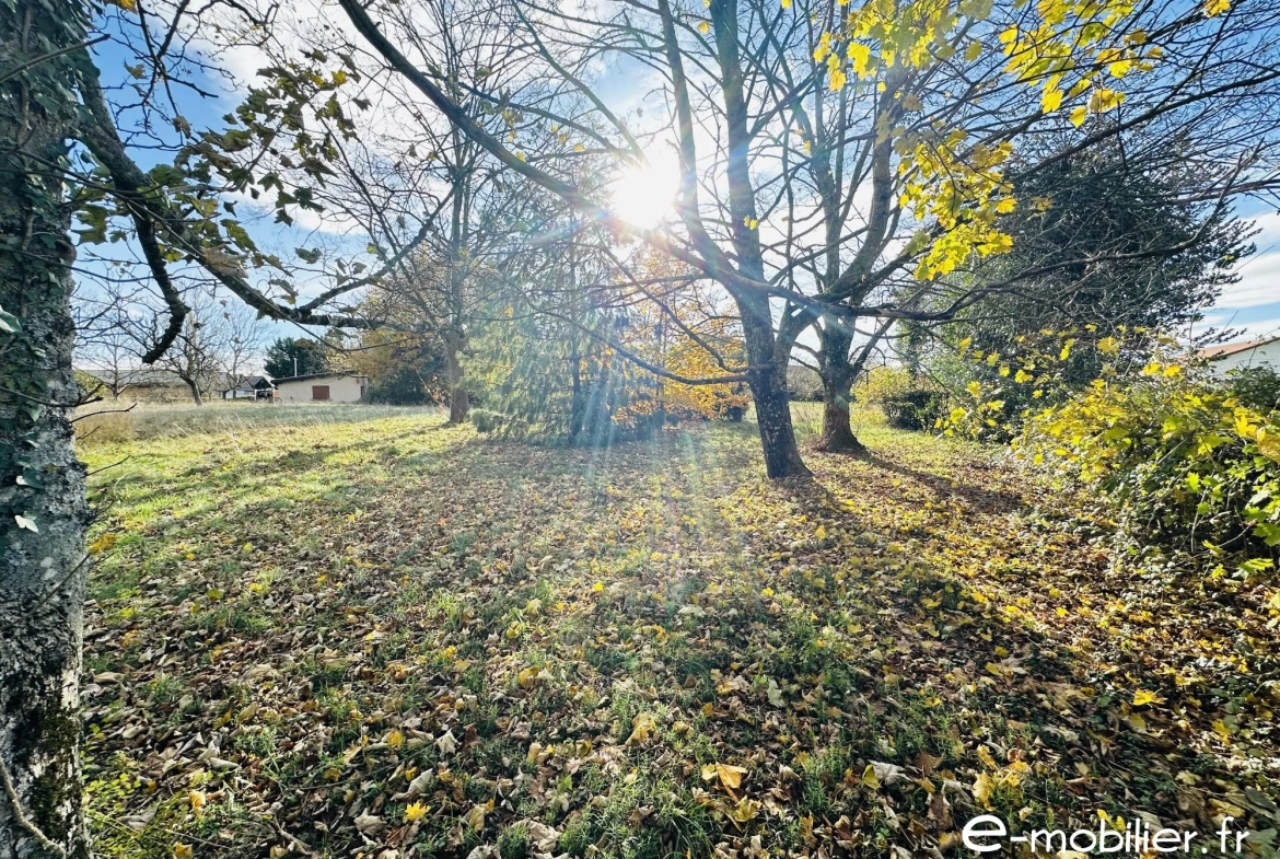 Maison à vendre à Charlieu de 172 m² avec grand terrain et charme authentique 