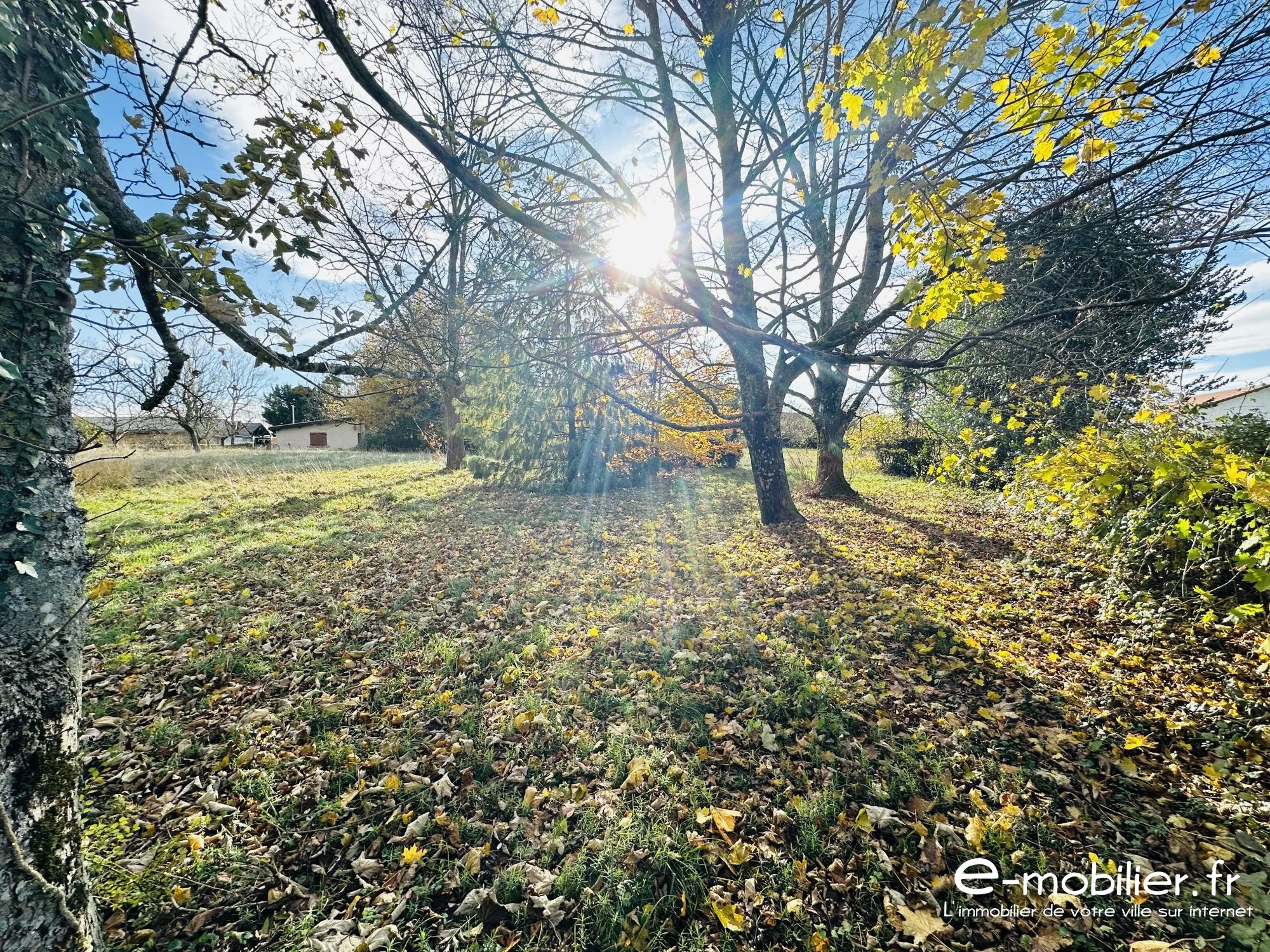 Maison à vendre à Charlieu de 172 m² avec grand terrain et charme authentique 