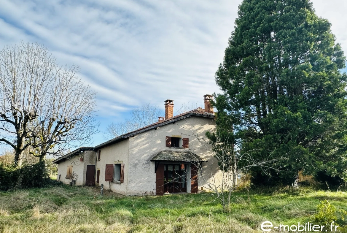 Maison à vendre à Charlieu de 172 m² avec grand terrain et charme authentique 