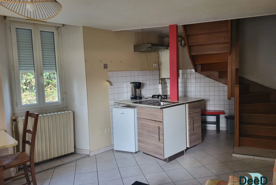 Immeuble à vendre à LANNEMEZAN avec potentiel locatif et garages 