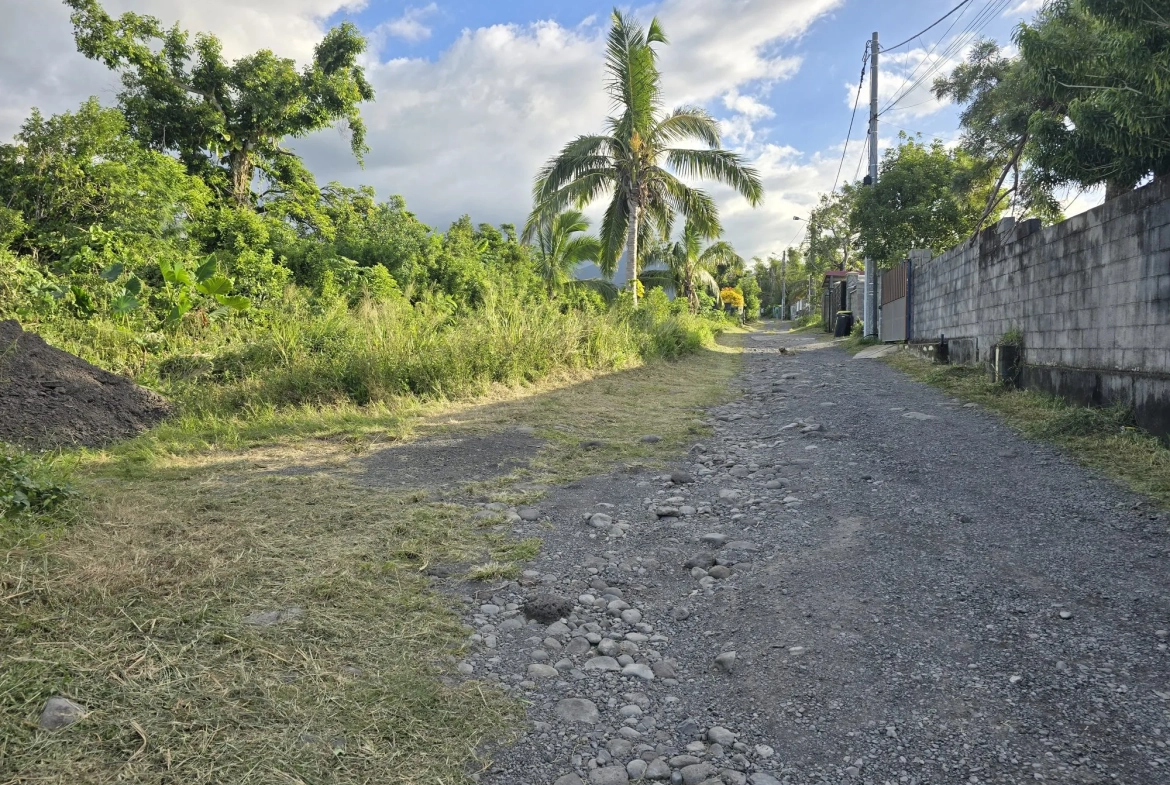 Terrains à vendre à Sainte Anne - Parcelle de 425 m² dans secteur calme 