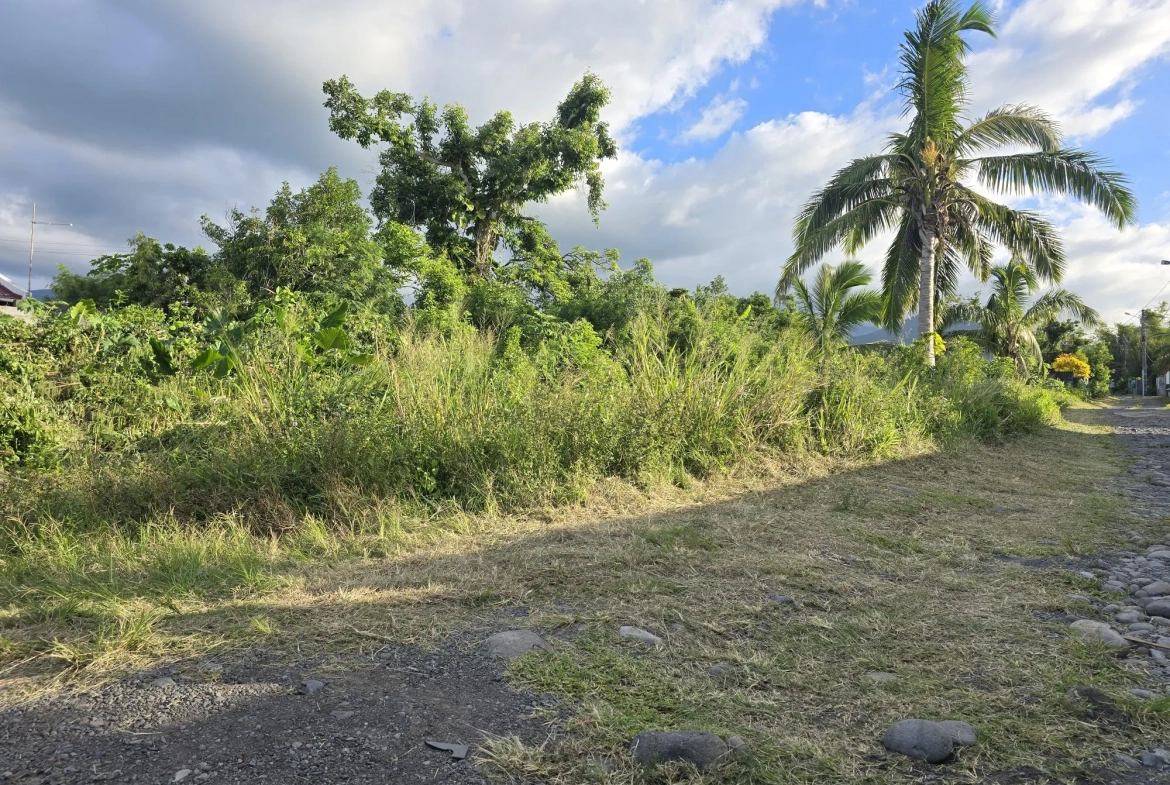 Terrains à vendre à Sainte Anne - Parcelle de 425 m² dans secteur calme 