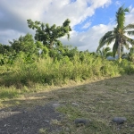 Terrains à vendre à Sainte Anne - Parcelle de 425 m² dans secteur calme