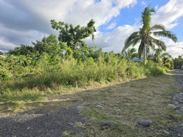 Terrains à vendre à Sainte Anne - Parcelle de 425 m² dans secteur calme