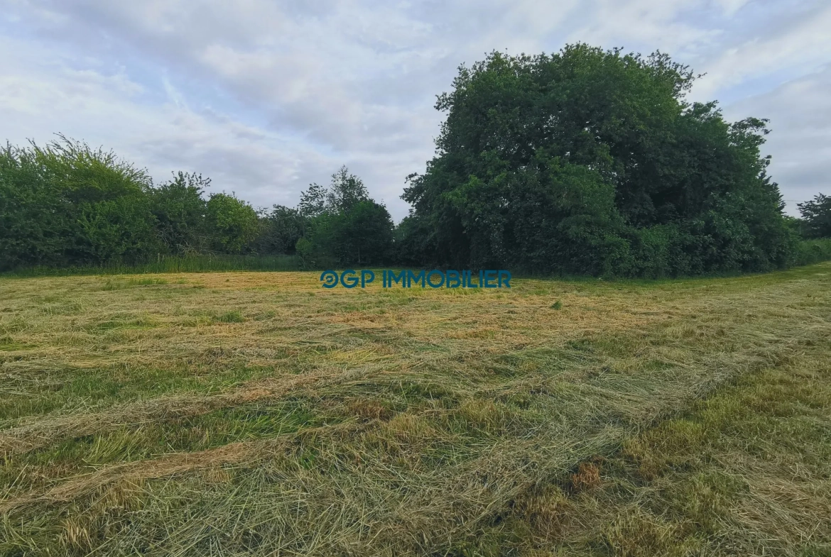 Terrain constructible et plat à Castelnau d'Estrétefonds de 1700 m² avec accès facile à Toulouse 