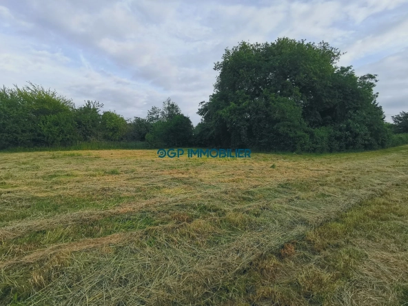 Terrain constructible et plat à Castelnau d'Estrétefonds de 1700 m² avec accès facile à Toulouse