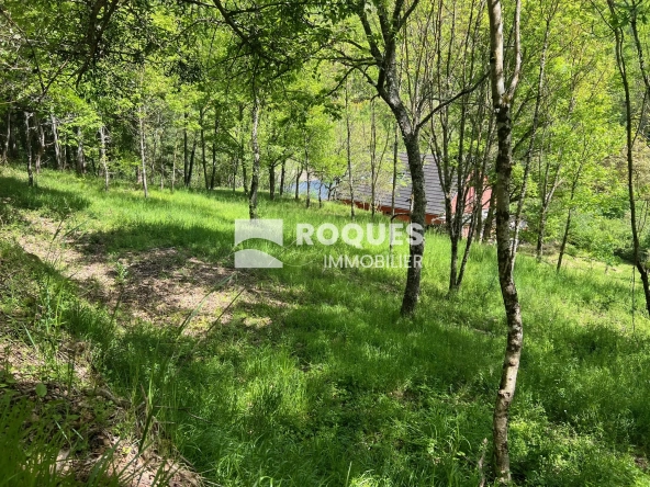 Terrain constructible boisé de 2076 m² à Saint Beauzely près de Millau