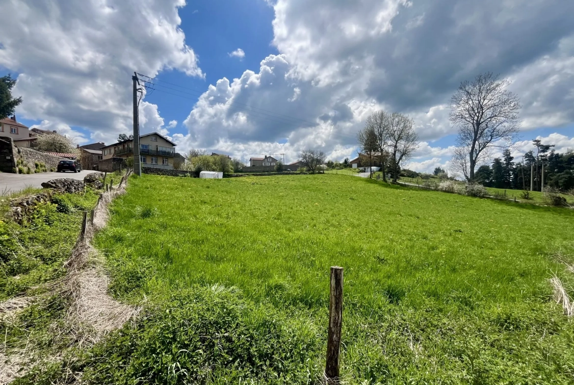 Terrain constructible à vendre à Usson-en-Forez - Opportunité d'investissement 