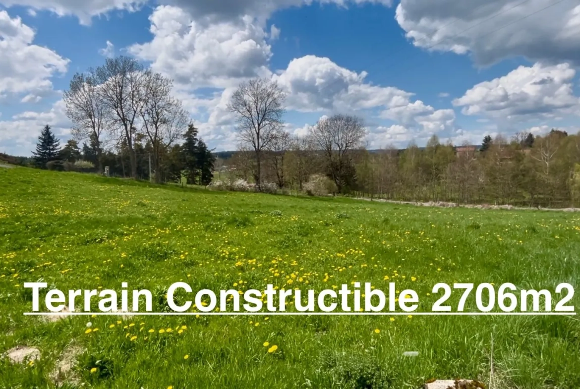 Terrain constructible à vendre à Usson-en-Forez - Opportunité d'investissement 