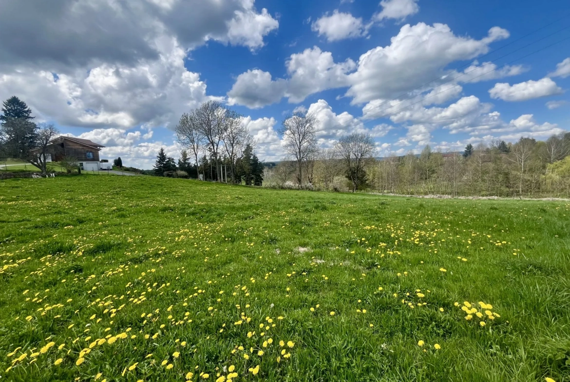 Terrain constructible à vendre à Usson-en-Forez - Opportunité d'investissement 