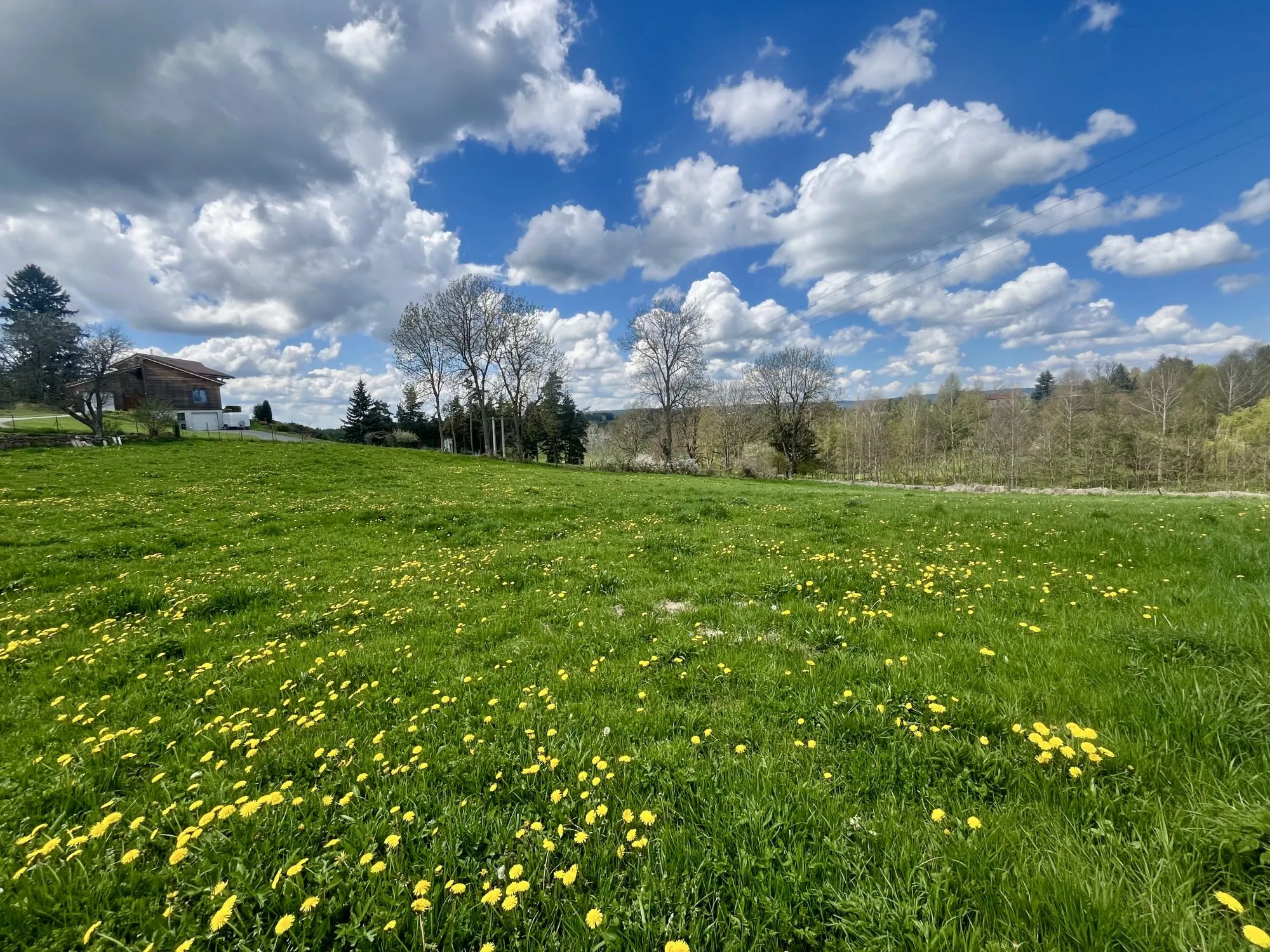 Terrain constructible à vendre à Usson-en-Forez - Opportunité d'investissement 