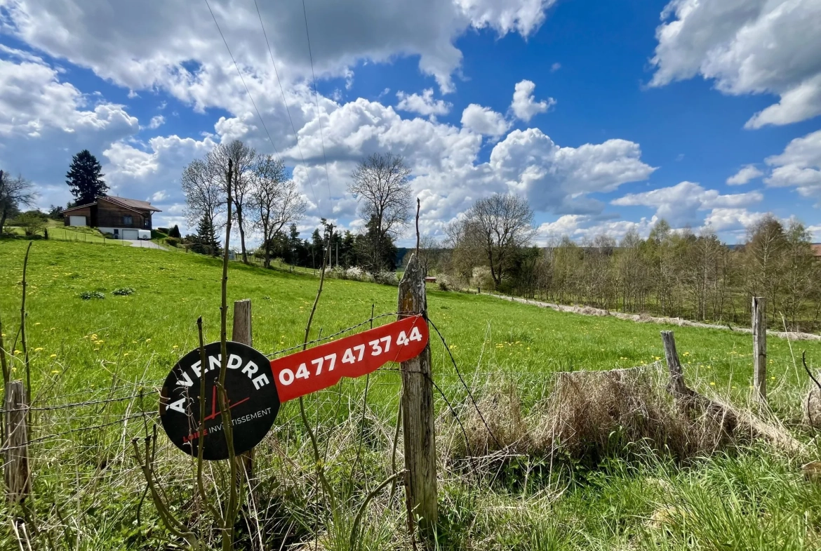 Terrain constructible à vendre à Usson-en-Forez - Opportunité d'investissement 