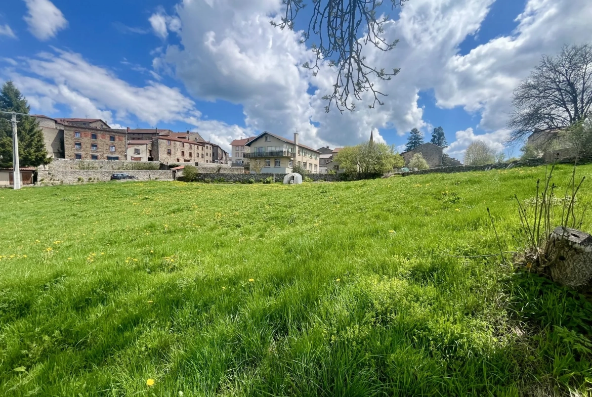Terrain constructible à vendre à Usson-en-Forez - Opportunité d'investissement 