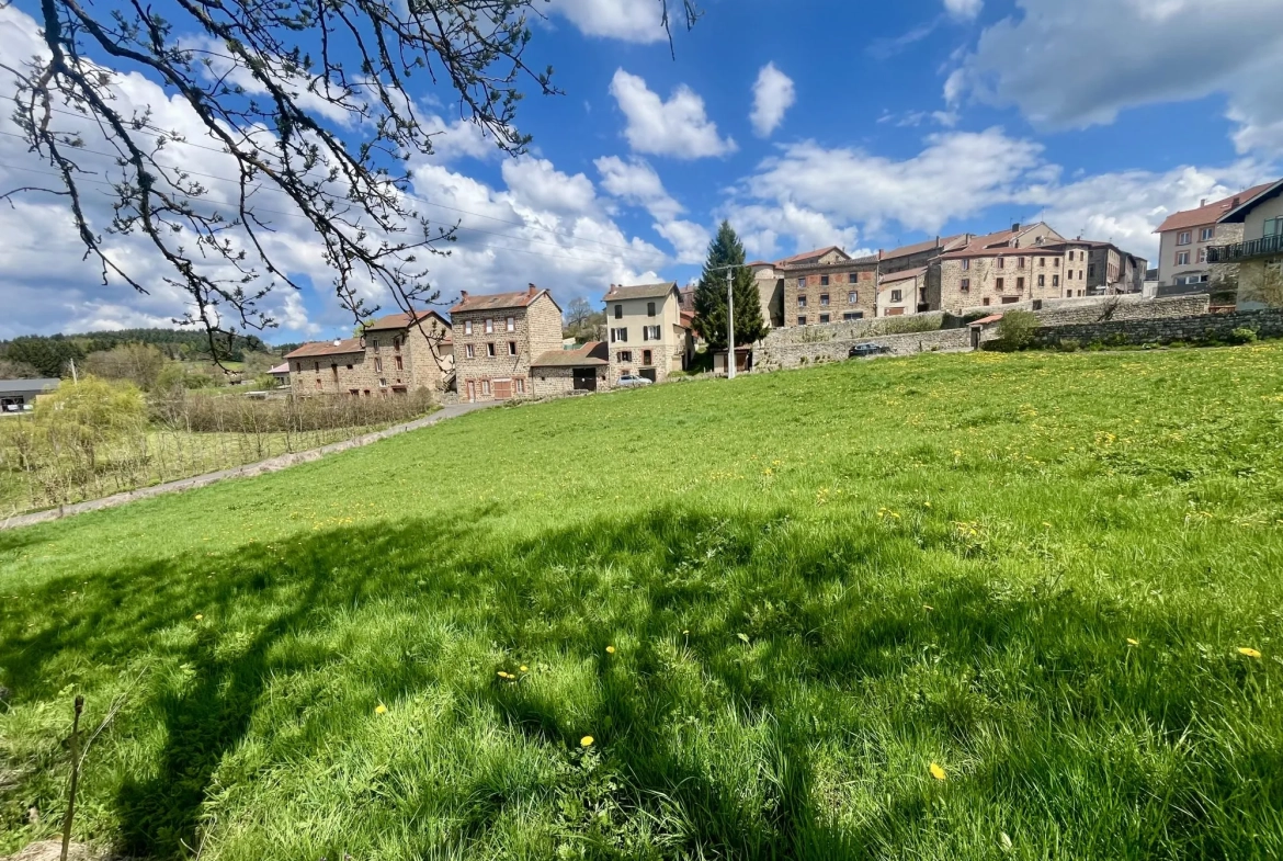 Terrain constructible à vendre à Usson-en-Forez - Opportunité d'investissement 